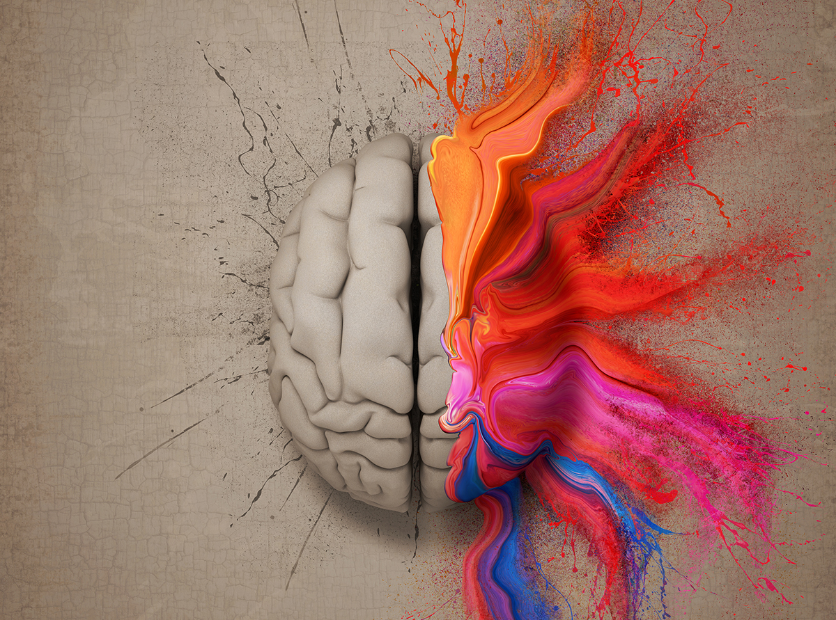 מוח עם צבעים